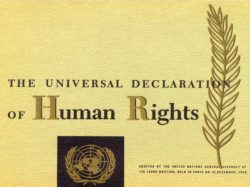 universal-declaration-of-human-rights